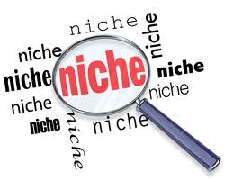 What Niche Marketing is NOT!